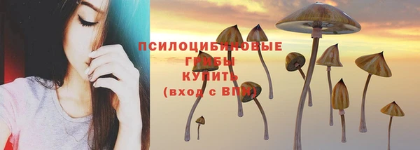 метадон Армянск
