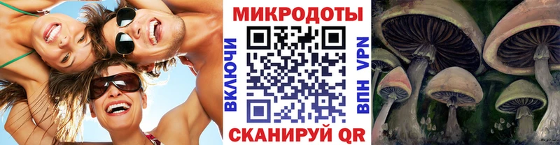Галлюциногенные грибы мицелий  это какой сайт  Шацк 